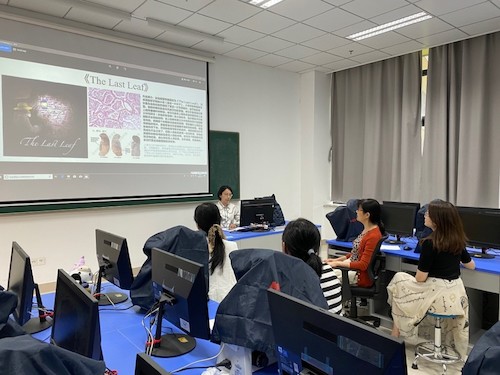 评审专家给作品评分