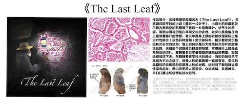 优秀作品欣赏