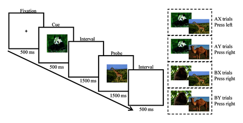 图1 抑制控制范式