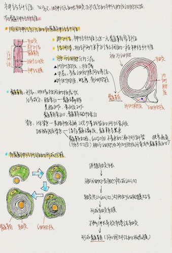 222.webp