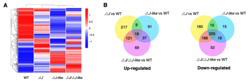 333