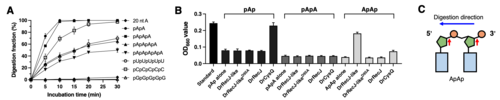 444