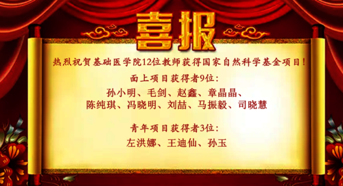 喜报2025
