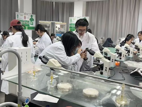 微信图片_20251128152052_229_9 微信图片_20251128152052_229_9