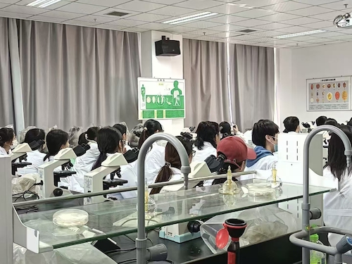 微信图片_20251128152053_230_9 微信图片_20251128152053_230_9