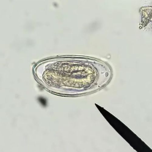 微信图片_20251128152054_231_9 微信图片_20251128152054_231_9