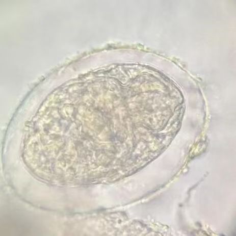 微信图片_20251128152055_232_9 微信图片_20251128152055_232_9