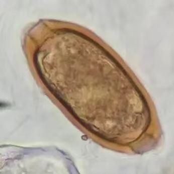 微信图片_20251128152055_233_9 微信图片_20251128152055_233_9