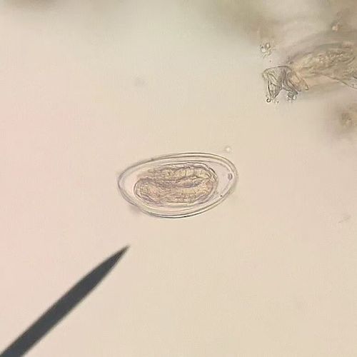 微信图片_20251128152056_234_9 微信图片_20251128152056_234_9