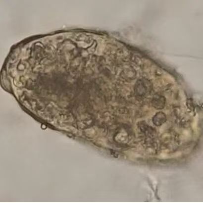 微信图片_20251128152057_235_9 微信图片_20251128152057_235_9