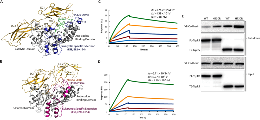 Summary Figure