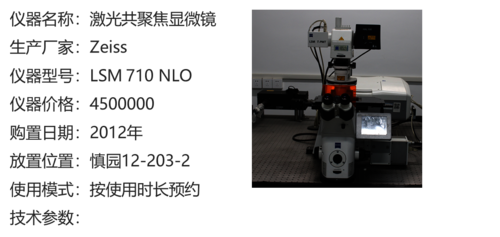 图片10 图片10