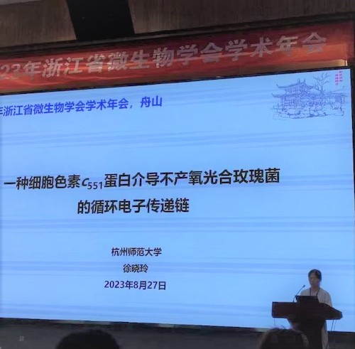 老师1